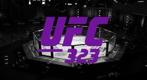 Favoritos UFC 323: palpites de apostas para lutas
