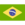 Brasil logo